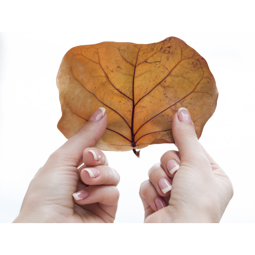 Wie lange halten Gelnägel & Haltbarkeit Kunstnägel