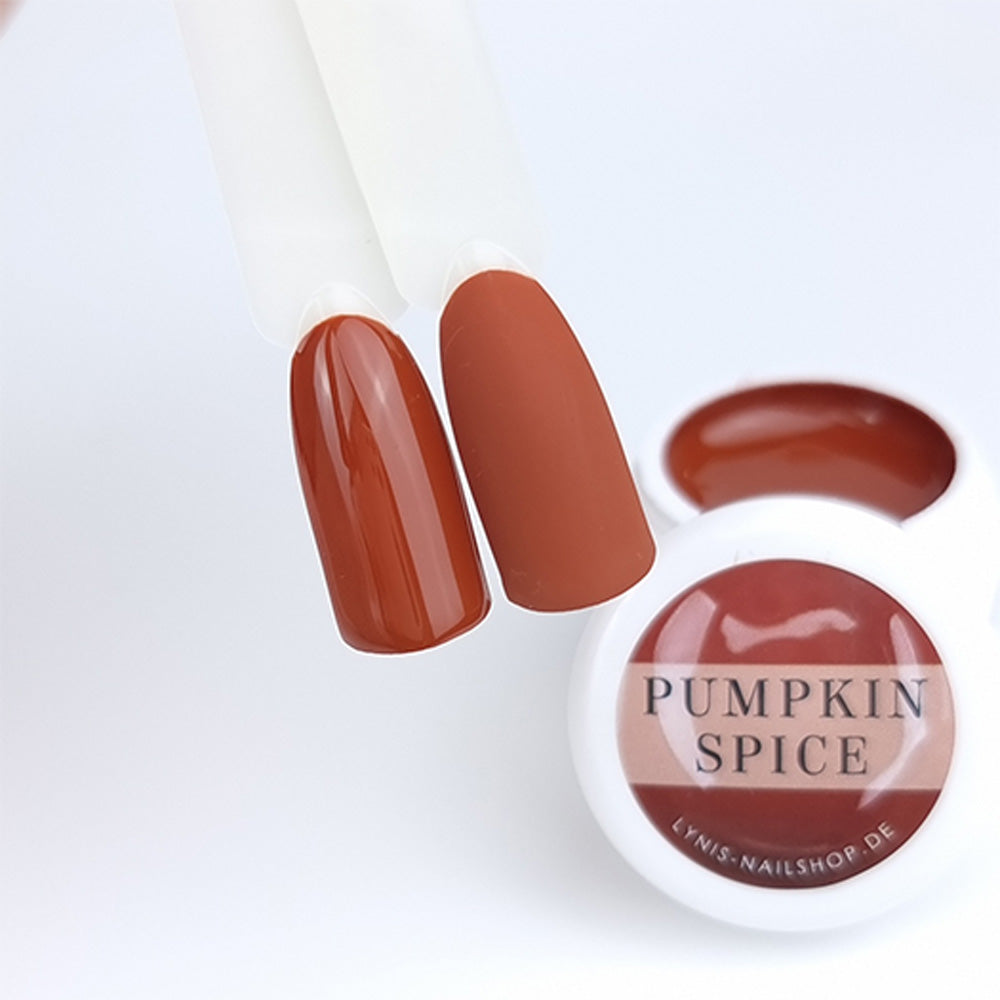 Farbgel Pumpkin Spice 5ml Premium* für Nageldesign Nägel & Nagelstudios Farbgel Pumpkin Spice 5ml Premium*, color gel, colour gel, Farbe für Nägel, Gel Farben, Gelnägel Farbe für Nägel im Nageldesign & Nagelstudios
