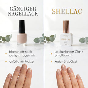 Shellac · Berry Shake 10ml