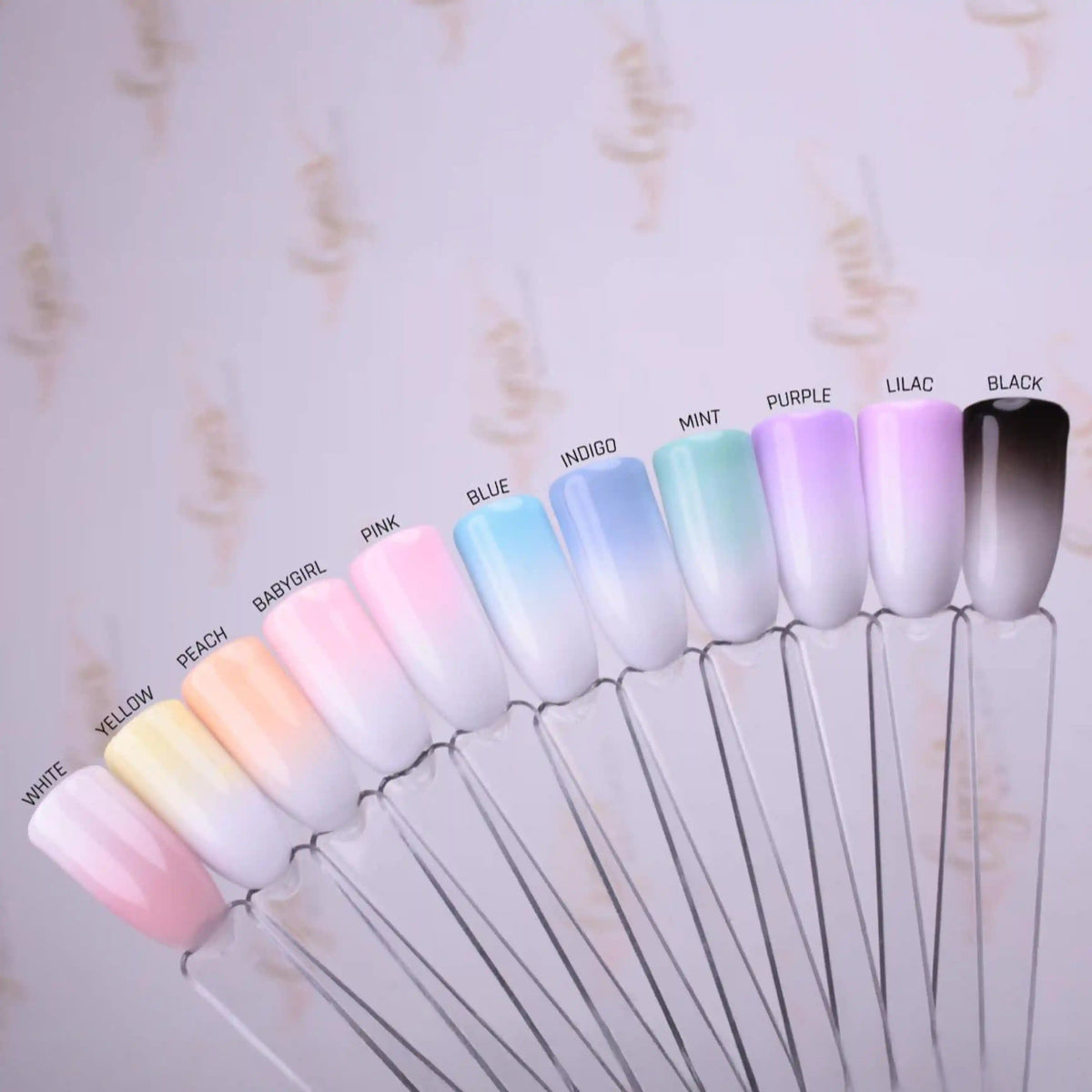 Ombre Babyboomer Wahl-Sparset