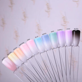 Ombre Babyboomer Wahl-Sparset