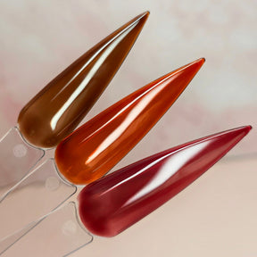Autumn Clear Shellac Set