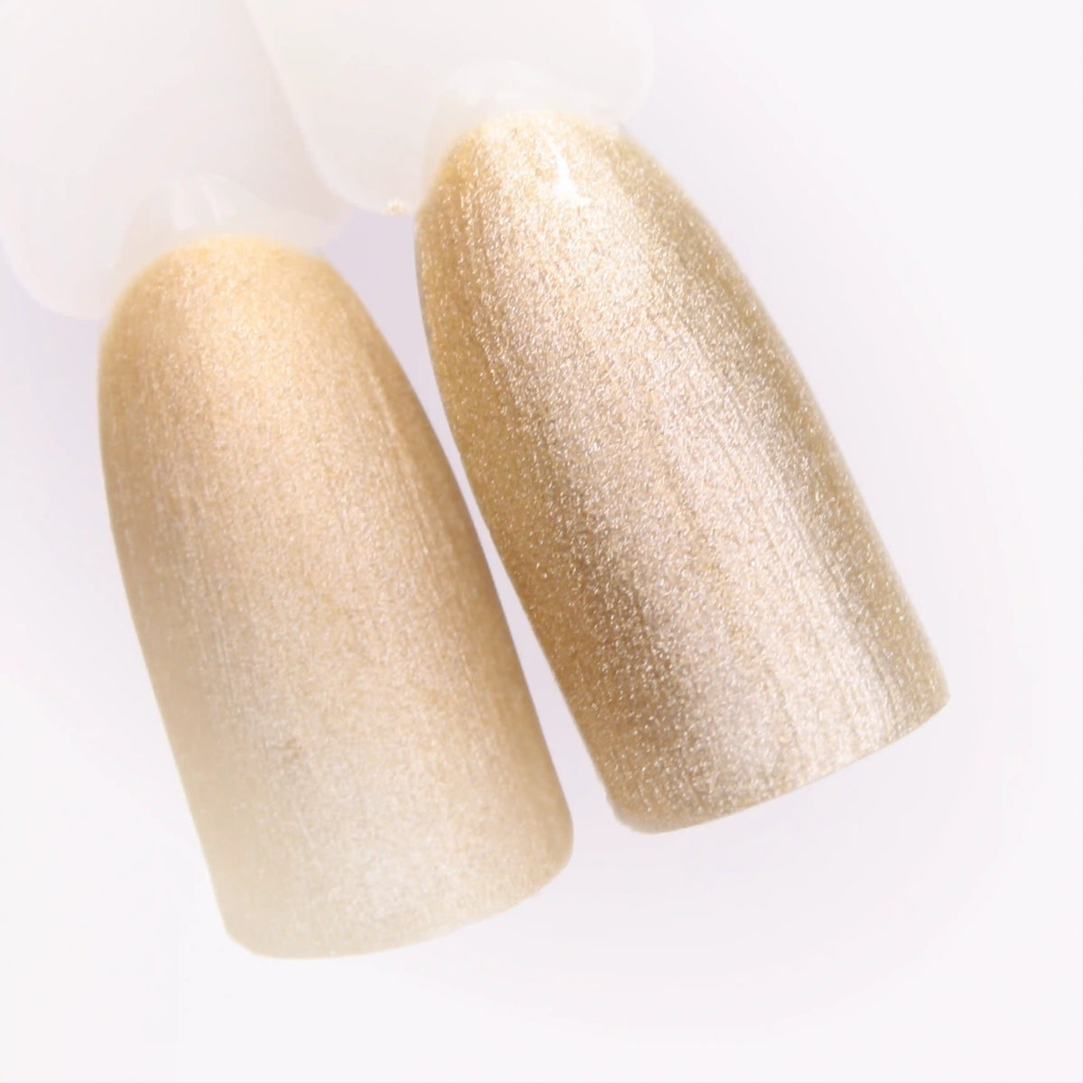 Shellac · Tasty 10ml
