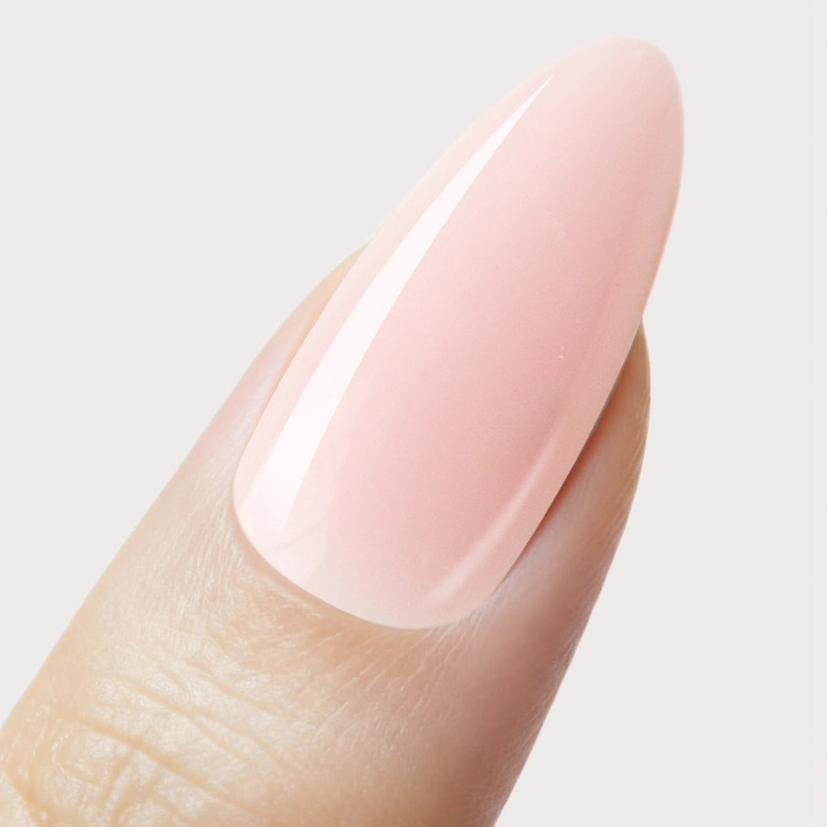 No File · Builder Gel Blossom*