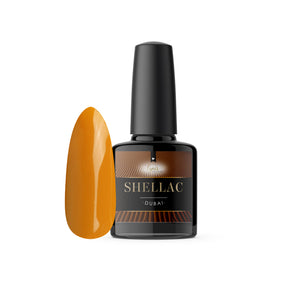 Shellac · Dubai