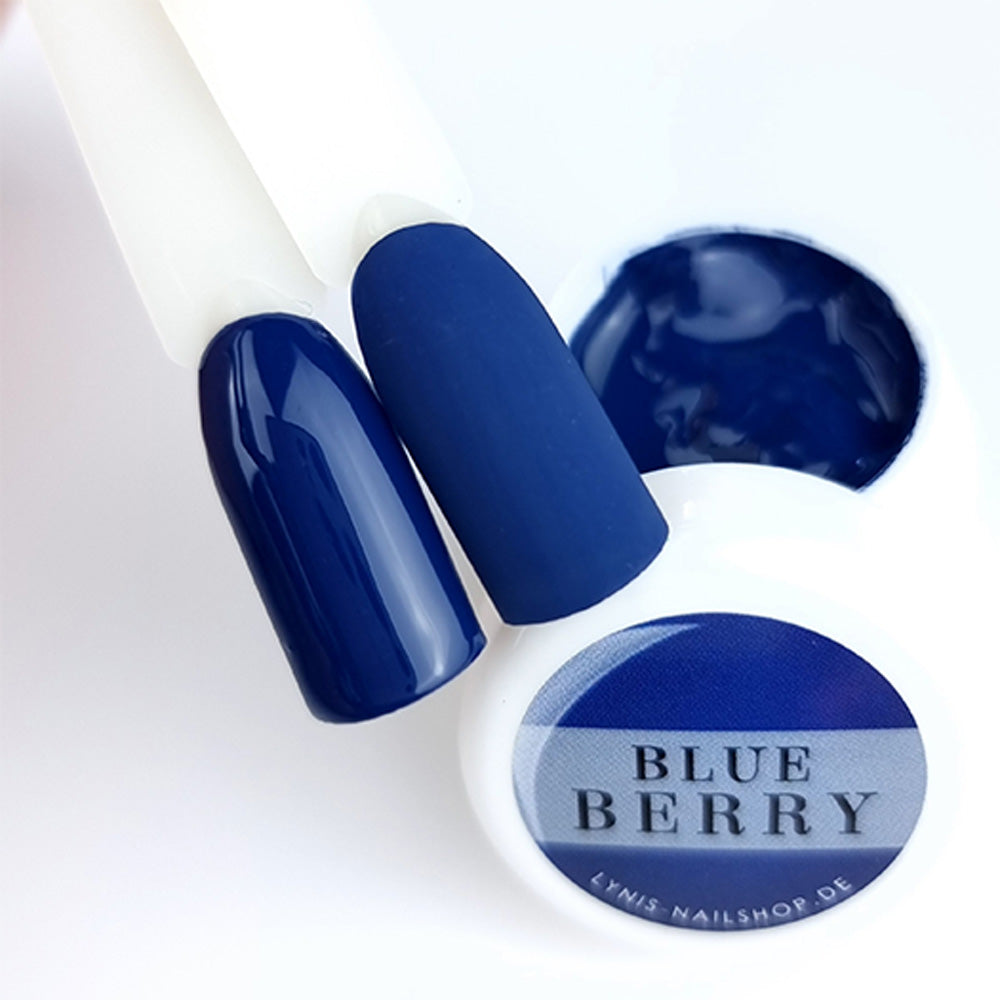 Farbgel Blueberry 5ml Premium*