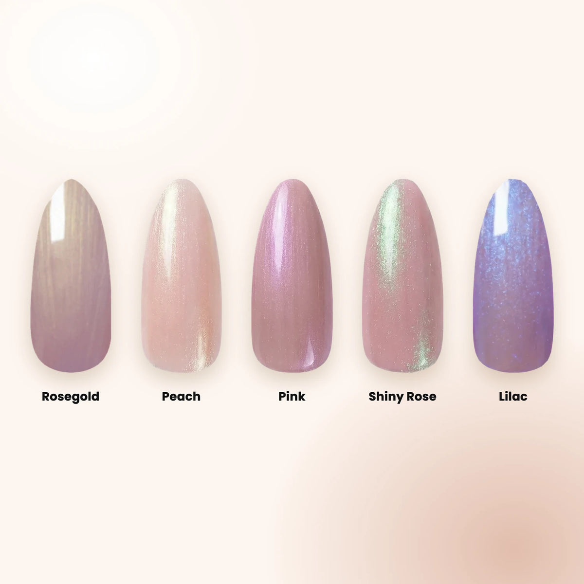 Seashell Shellac Set