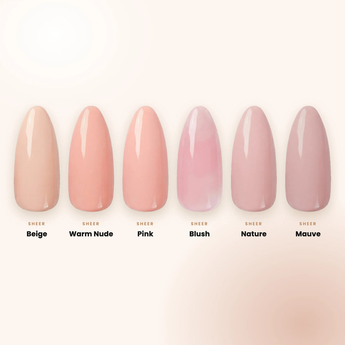 Sheer Shellac Set