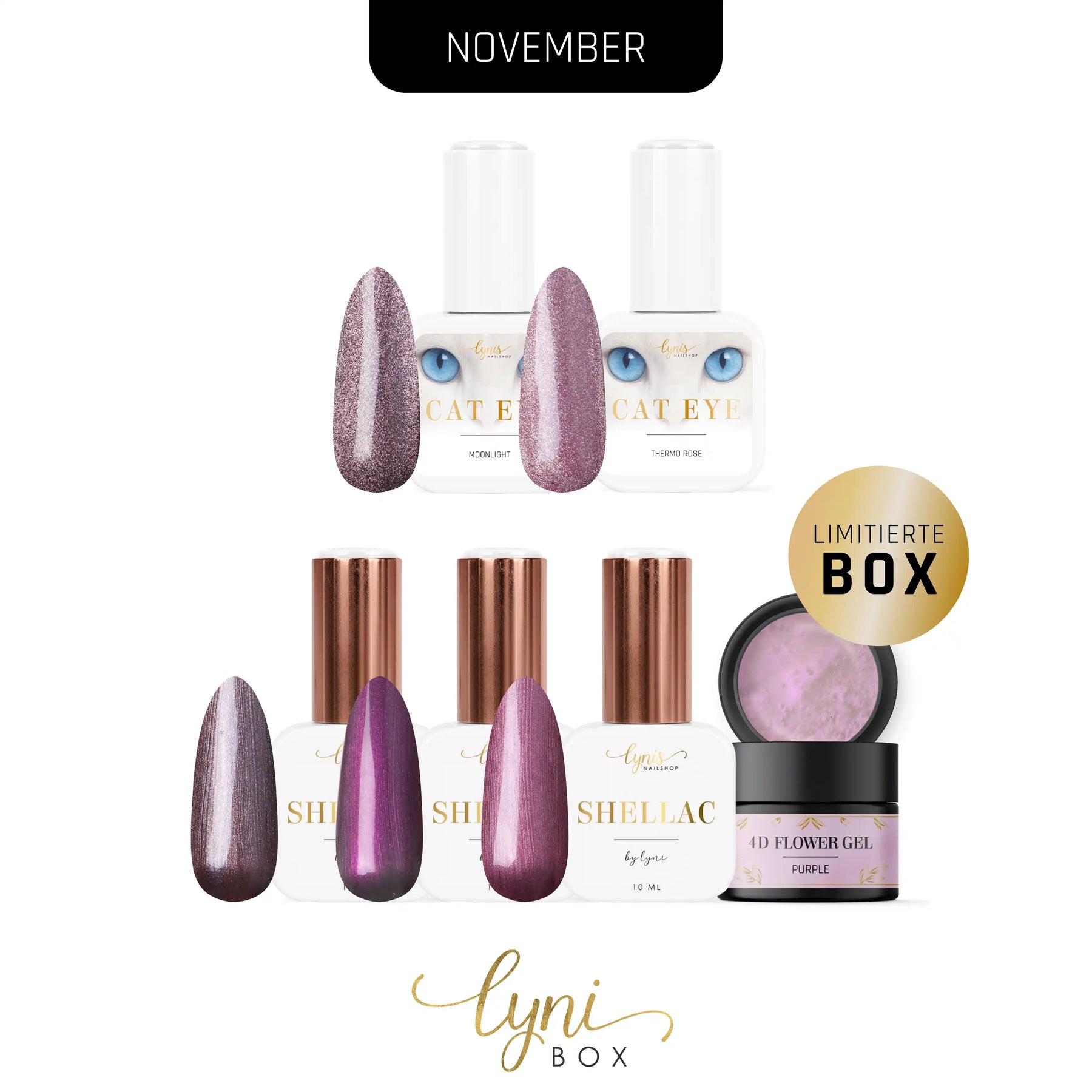 LyniBox · Ladies Night