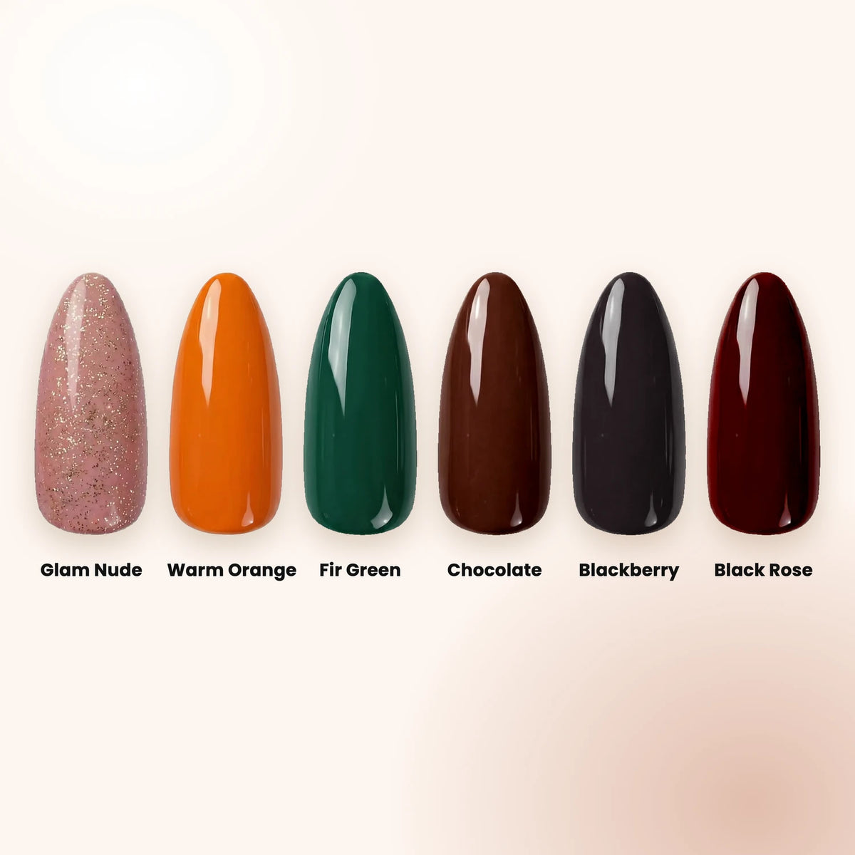 Herbst Shellac Set
