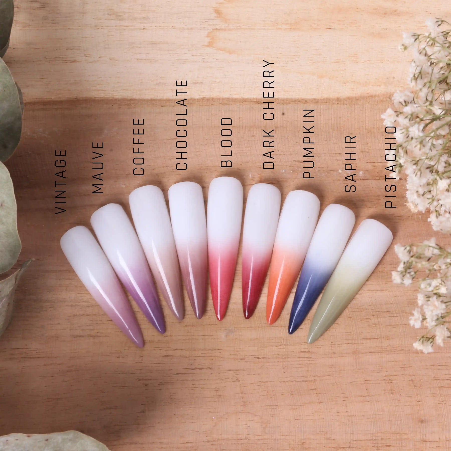 Ombre Babyboomer Gel · Coffee 2g