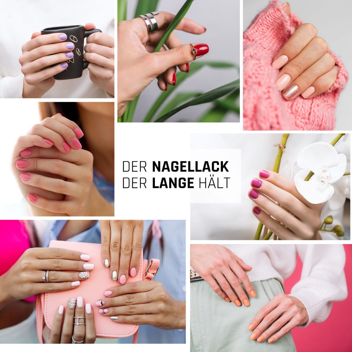 Shellac Starterset mit Wunschfarbe