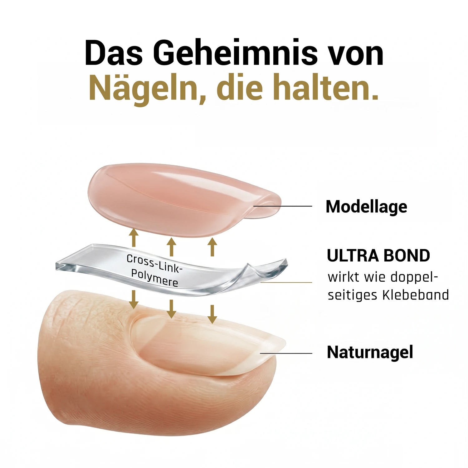 Ultra Bond säurefrei 15ml*, haftermittler, liftings, naturnagelvorbereitung, ohne säure, ultrabond für Nägel im Nageldesign & Nagelstudios