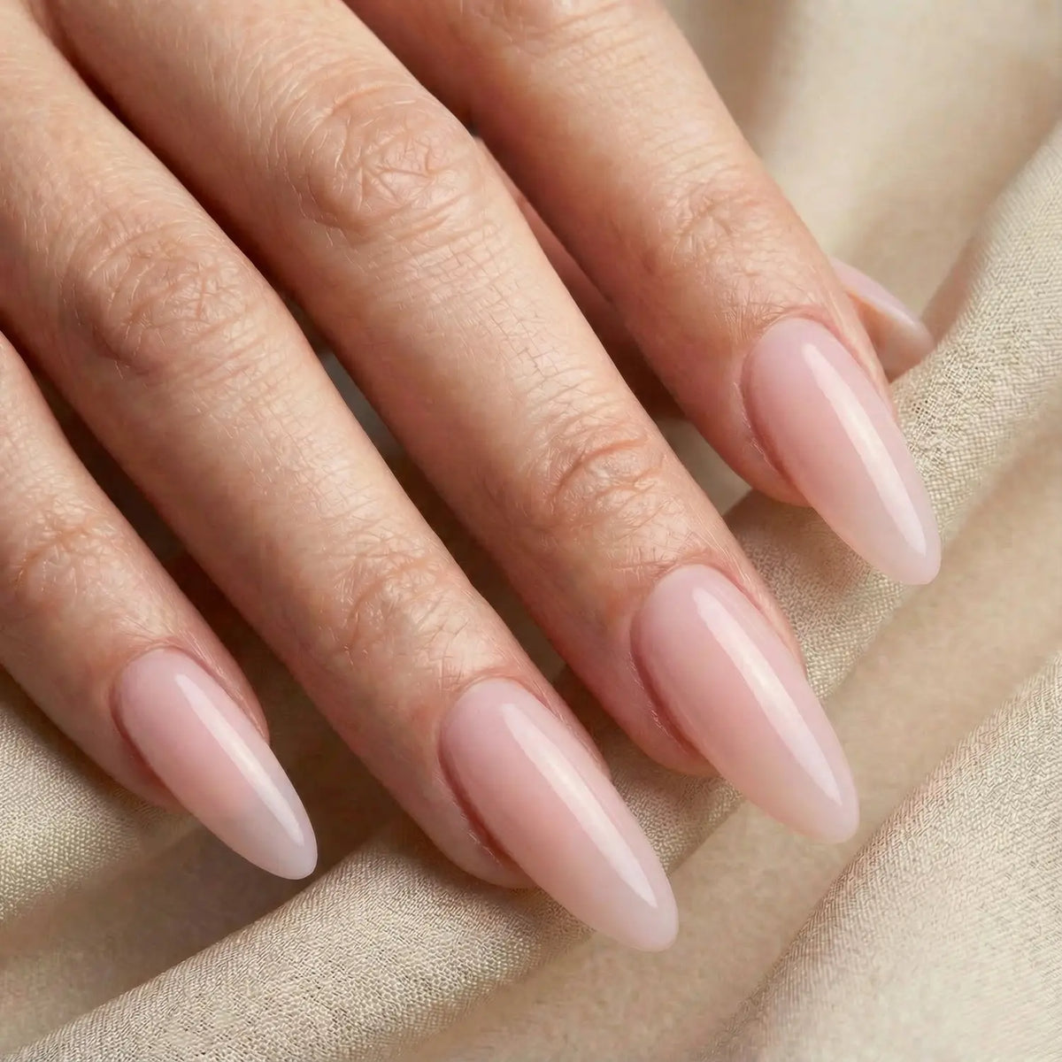 No File · Builder Gel Blossom*